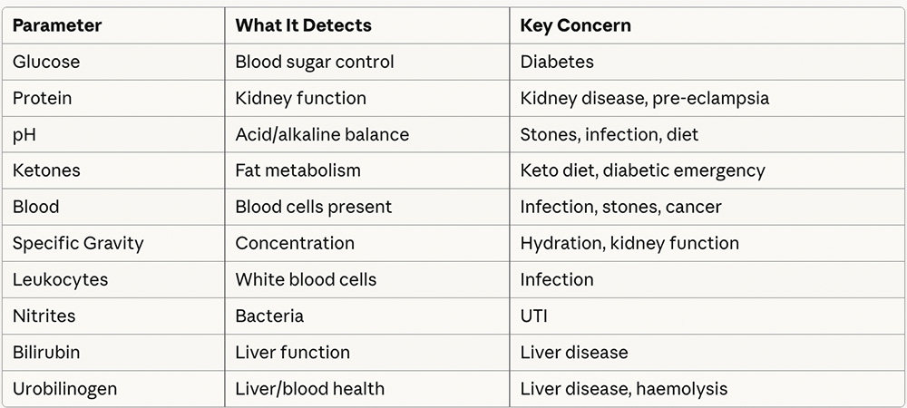 Urine Testing Strips - What they tell you